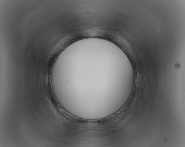 X0000091000210200708021232