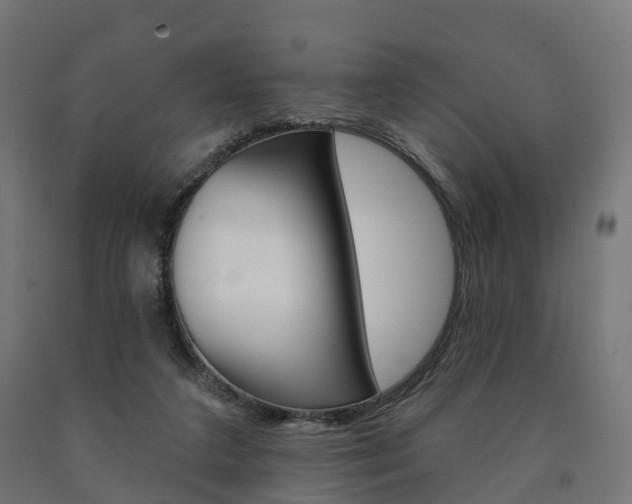 X0000091000211200708021232