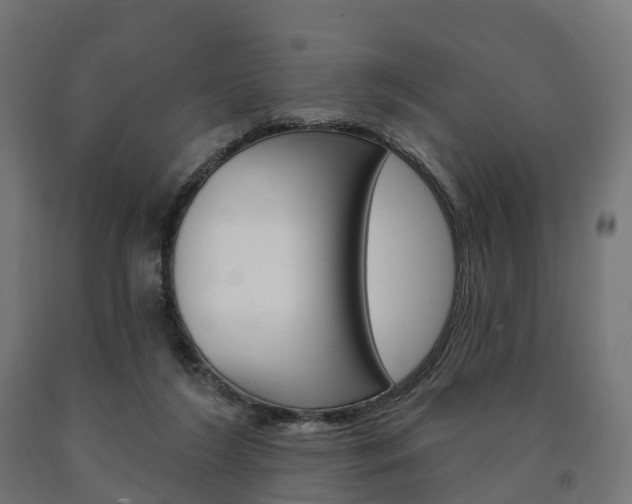X0000091000212200708021232