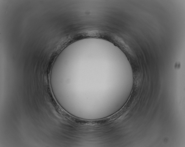 X0000091000213200708021232
