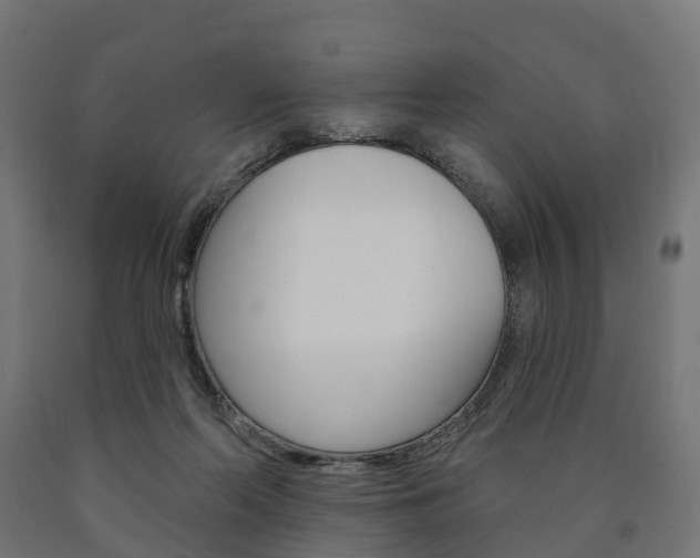 X0000091000214200708021232