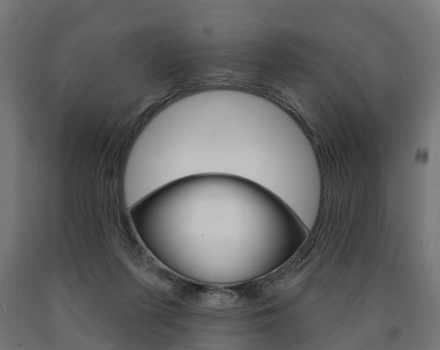 X0000091000215200708021232