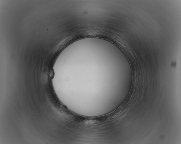 X0000091000216200708021232