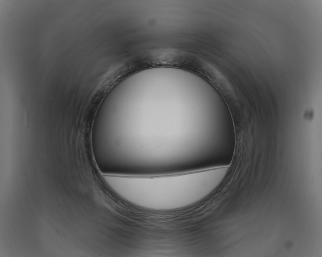 X0000091000217200708021232