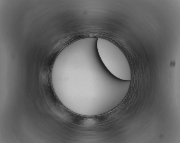 X0000091000218200708021232
