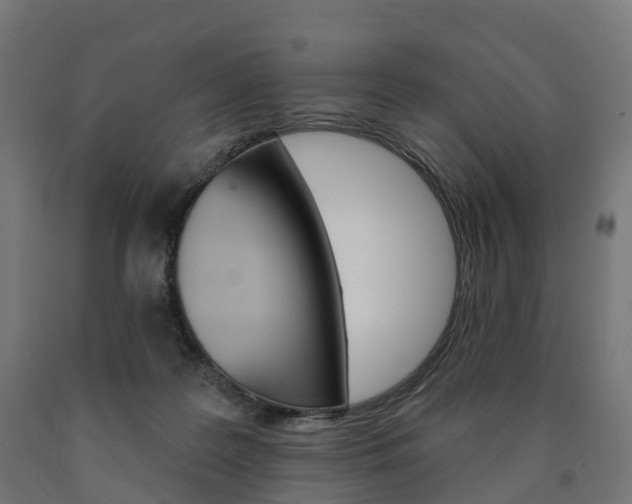 X0000091000219200708021232