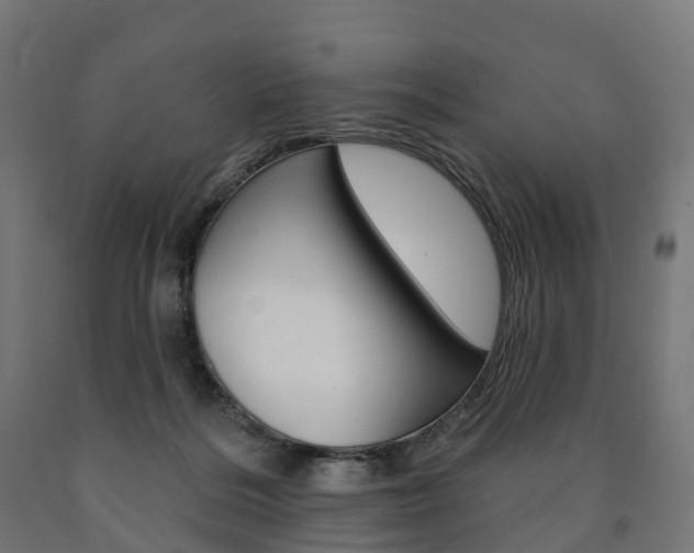 X0000091000220200708021232