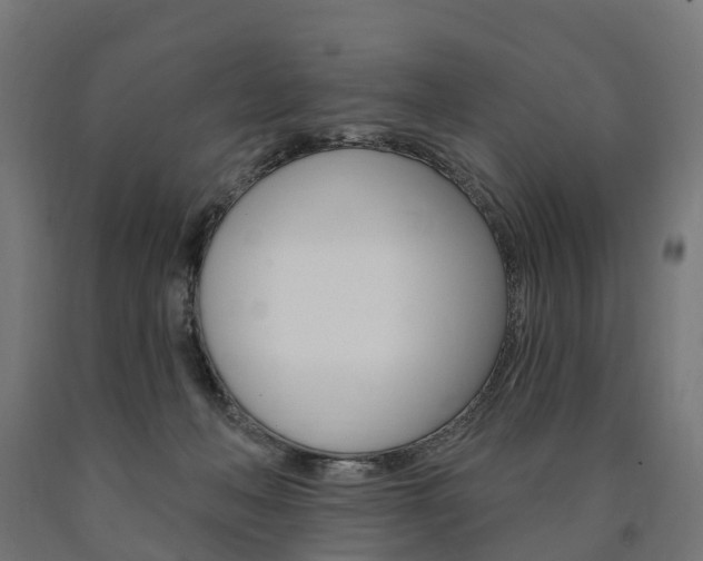 X0000091000222200708021232