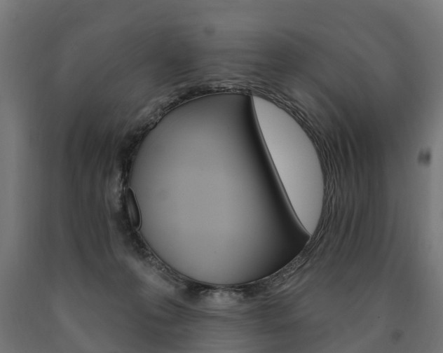X0000091000223200708021232