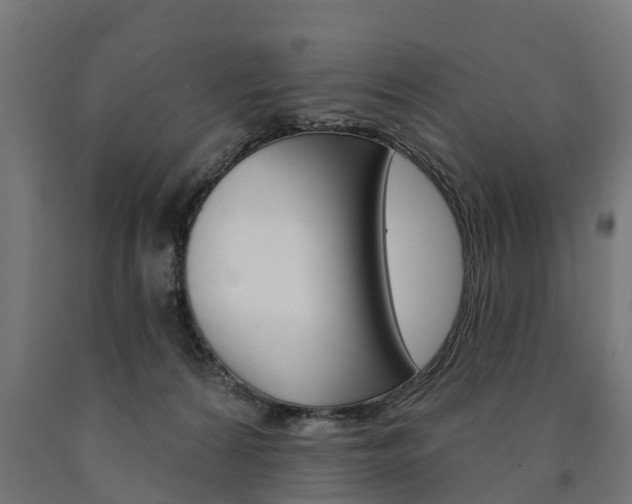 X0000091000224200708021232