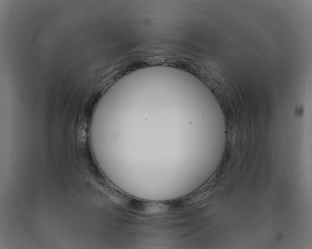 X0000091000226200708021232