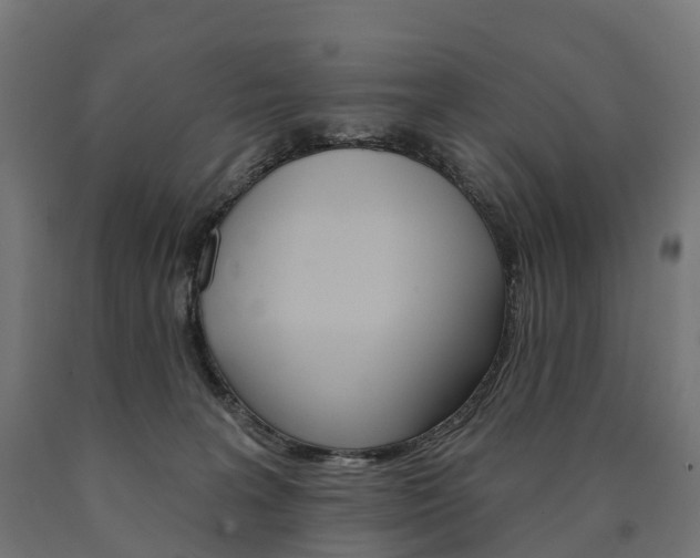 X0000091000227200708021232