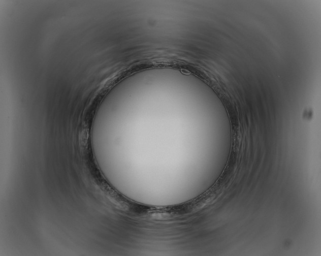 X0000091000228200708021232