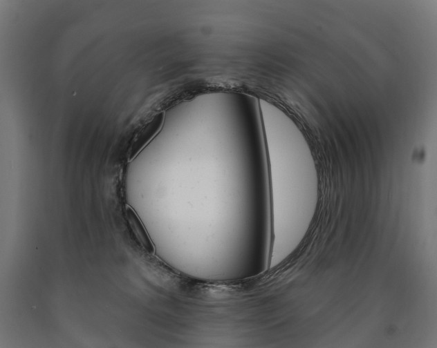 X0000091000229200708021232