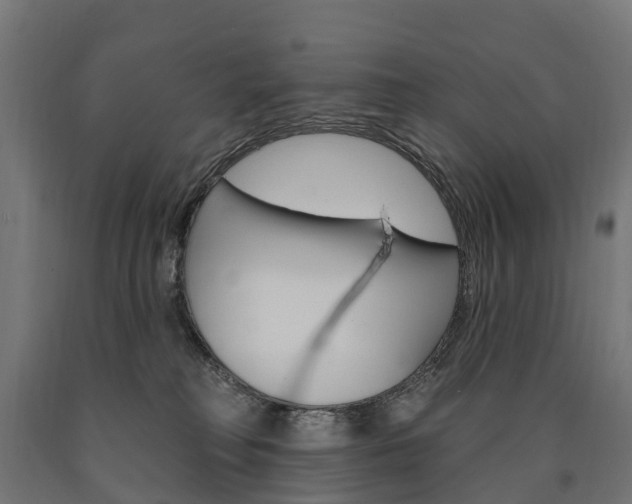 X0000091000230200708021232