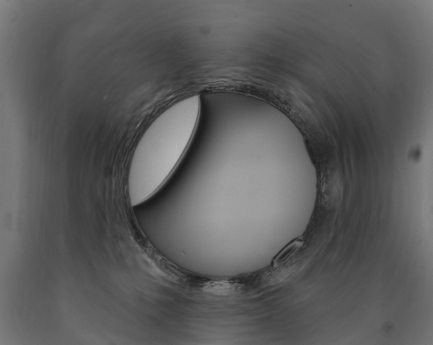 X0000091000231200708021232