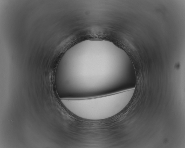 X0000091000233200708021232