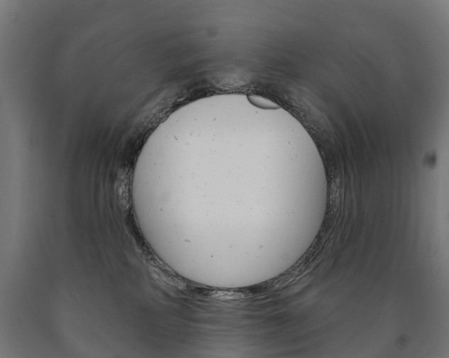 X0000091000234200708021232