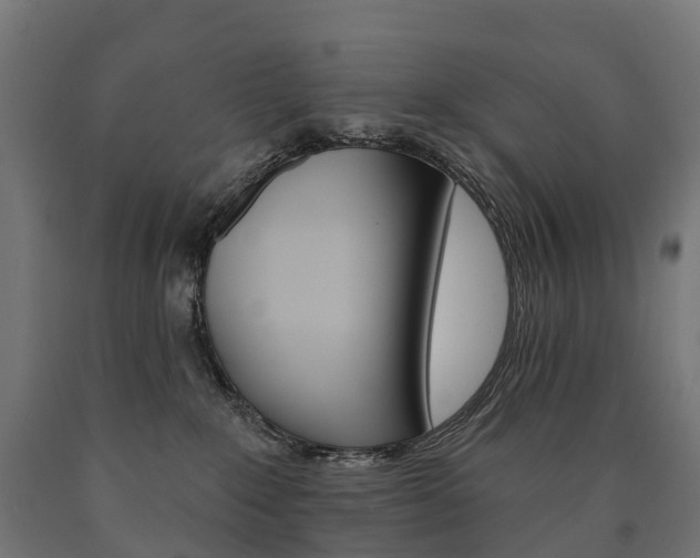 X0000091000235200708021232