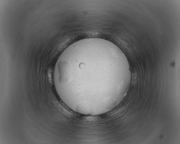 X0000091000238200708021232