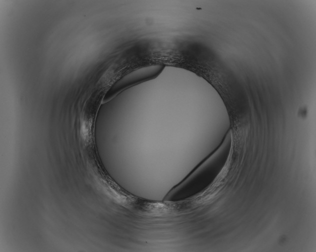 X0000091000239200708021232