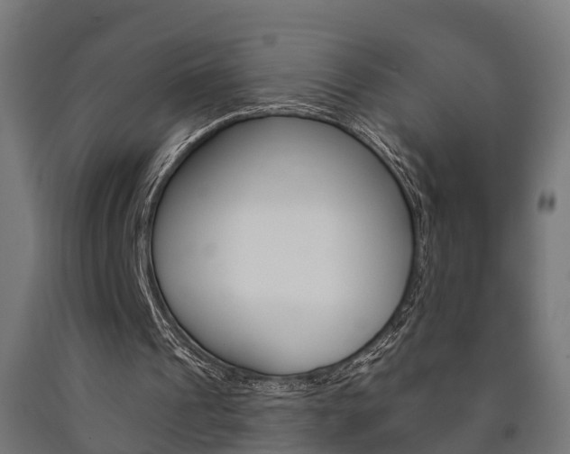 X0000091000241200708021231