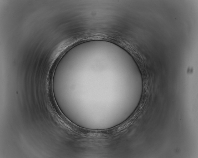 X0000091000242200708021231