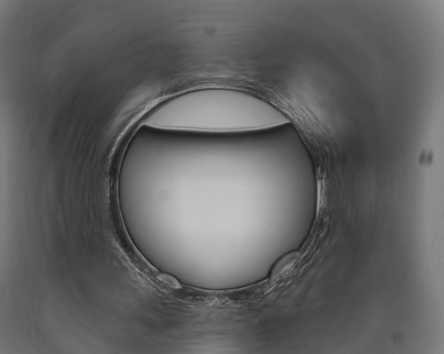 X0000091000243200708021231