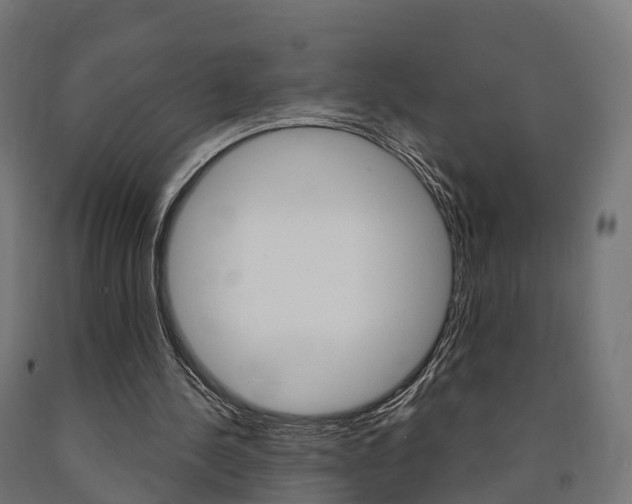 X0000091000244200708021231