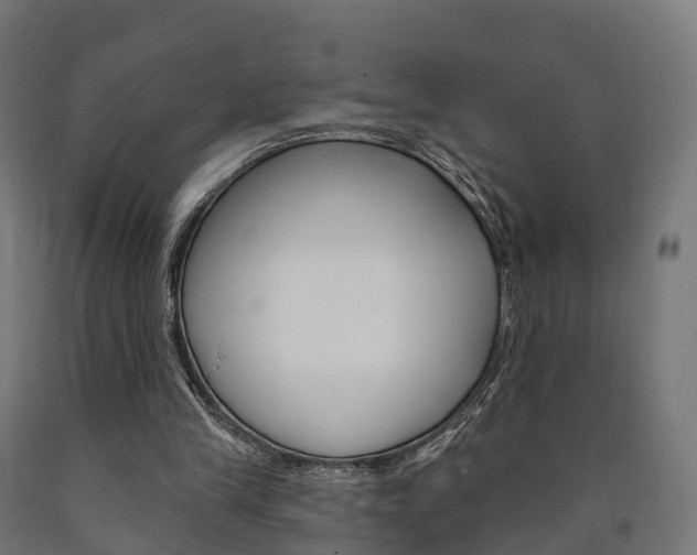 X0000091000245200708021231