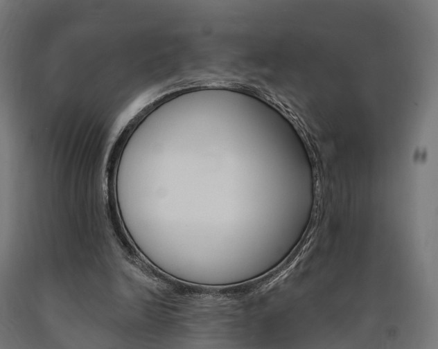 X0000091000246200708021231