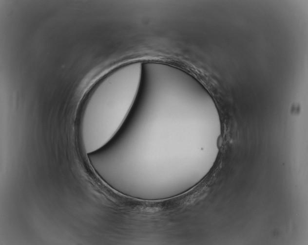 X0000091000247200708021231