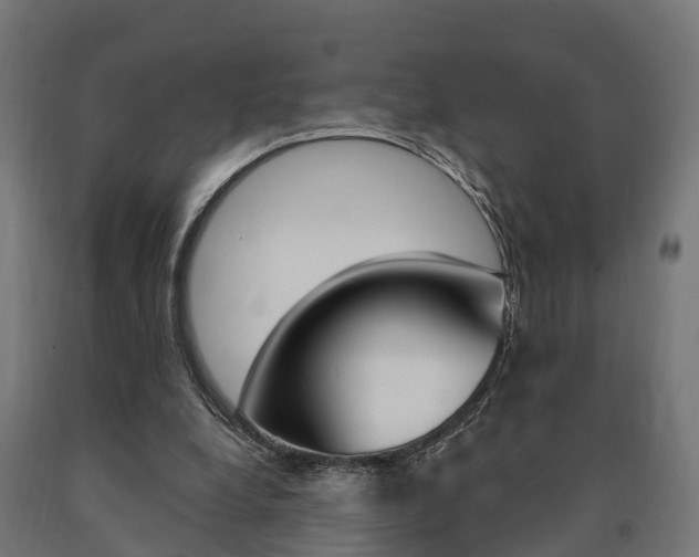 X0000091000248200708021231