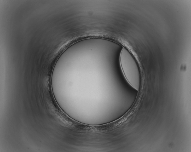 X0000091000249200708021231