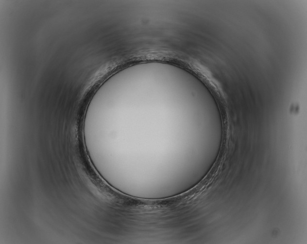 X0000091000250200708021231