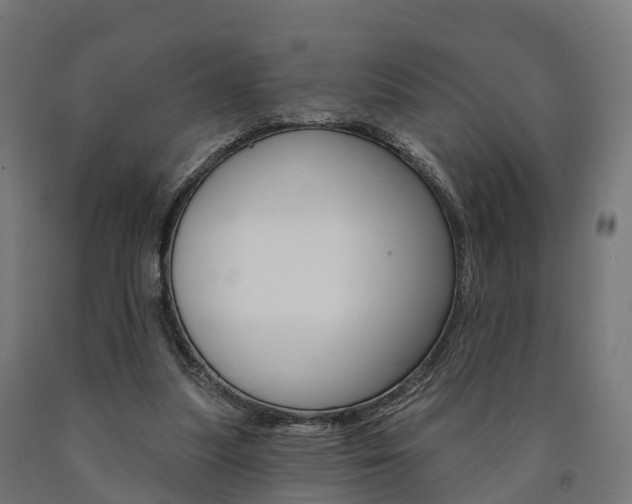 X0000091000251200708021231