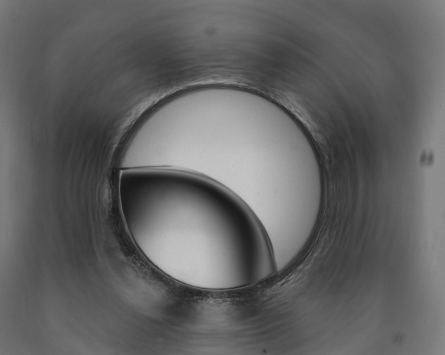 X0000091000252200708021231