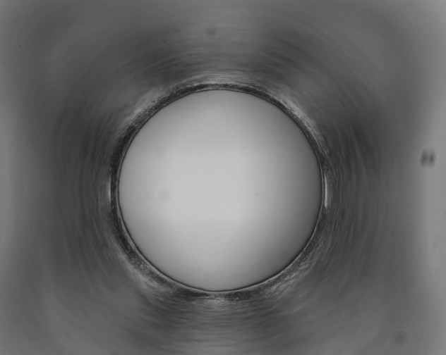 X0000091000253200708021231