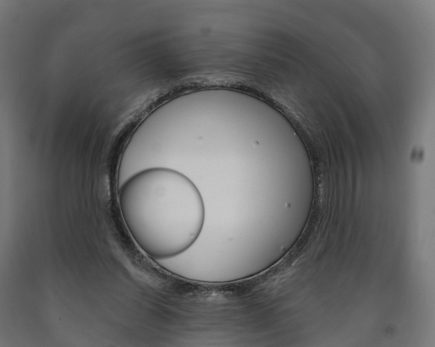 X0000091000254200708021231
