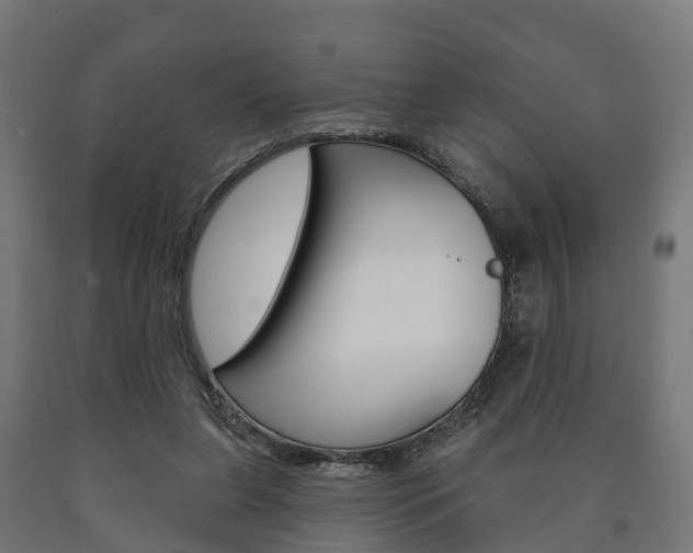 X0000091000255200708021231