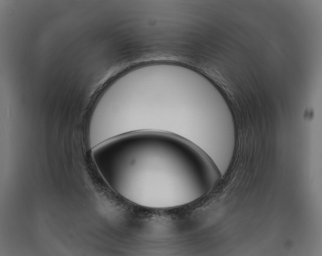 X0000091000256200708021231