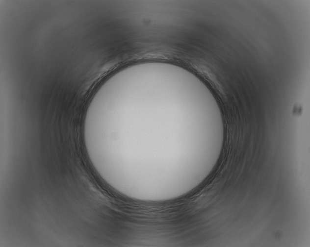 X0000091000260200708021231