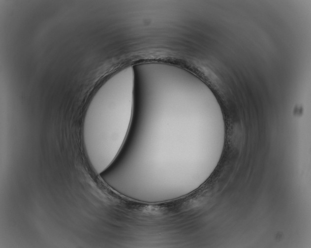 X0000091000261200708021231
