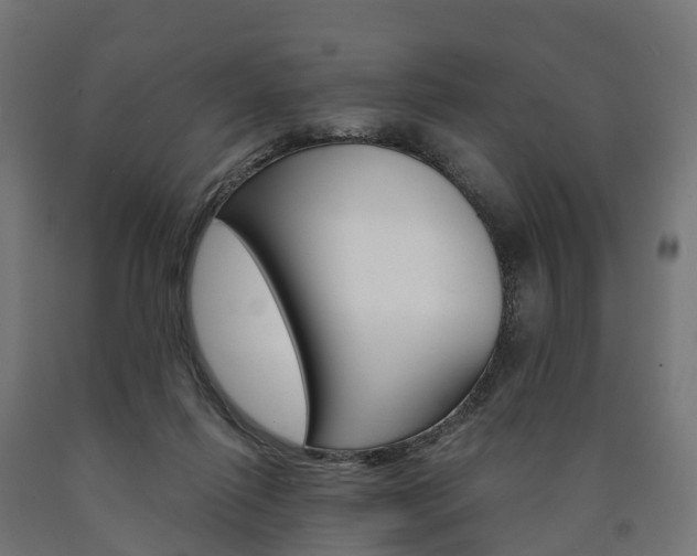 X0000091000262200708021231