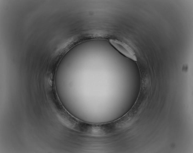X0000091000264200708021231