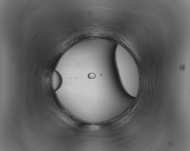 X0000091000265200708021231