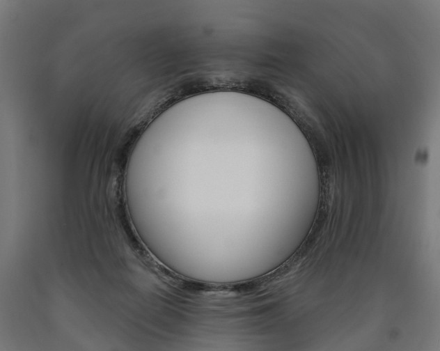 X0000091000266200708021231