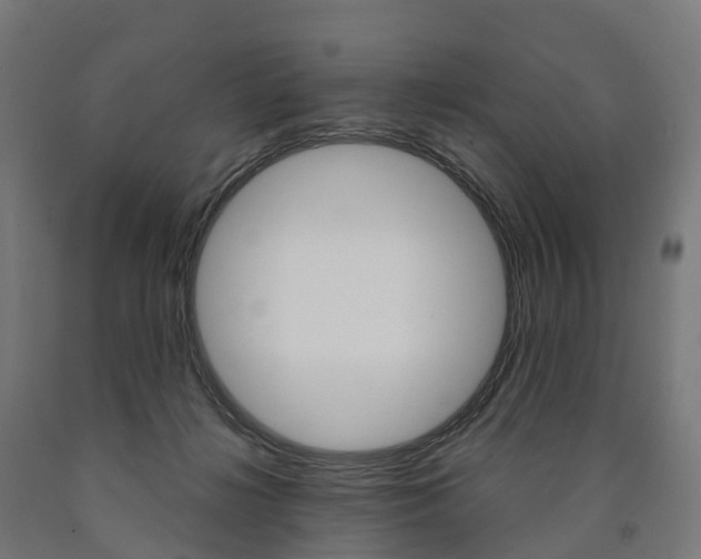 X0000091000268200708021231