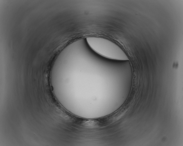 X0000091000269200708021231