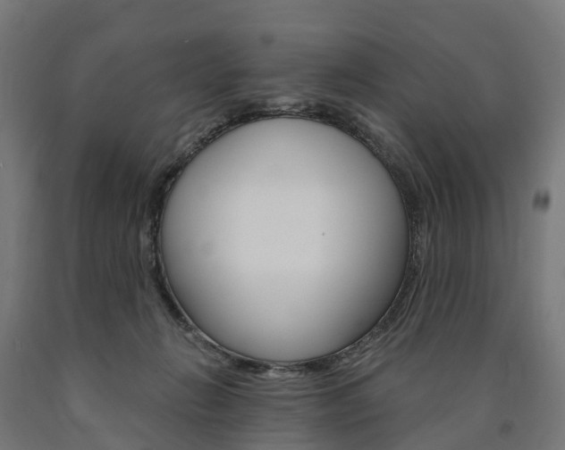 X0000091000270200708021231